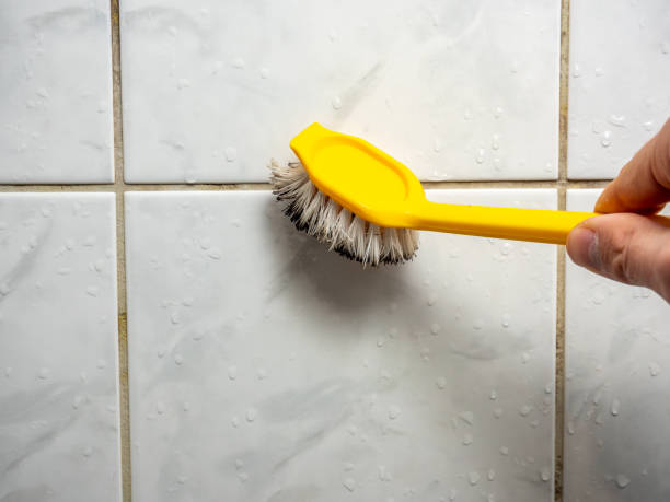 Best Mold Testing  in Grand Saline, TX