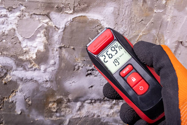 Best Water Damage Restoration  in Grand Saline, TX