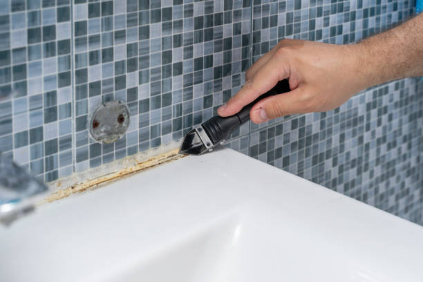 Professional Mold Removal in Grand Saline, TX