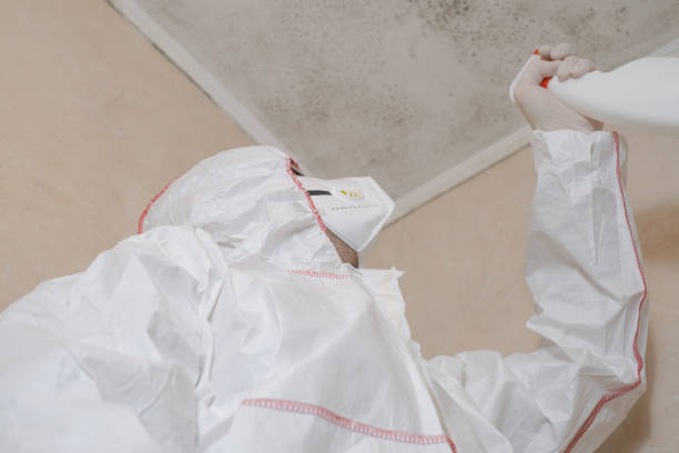Best Emergency Mold Removal  in Grand Saline, TX