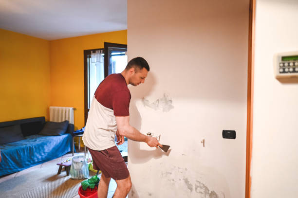 Best Office Mold Removal Services  in Grand Saline, TX